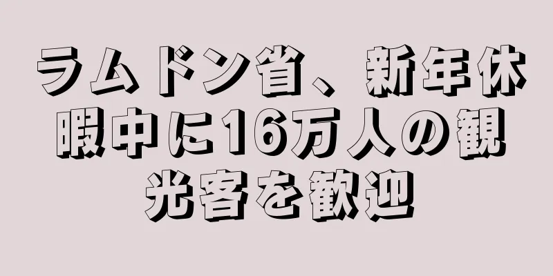 ラムドン省、新年休暇中に16万人の観光客を歓迎