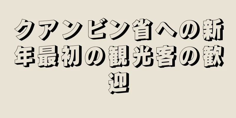 クアンビン省への新年最初の観光客の歓迎