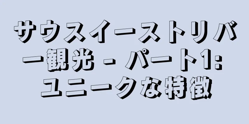 サウスイーストリバー観光 - パート1: ユニークな特徴