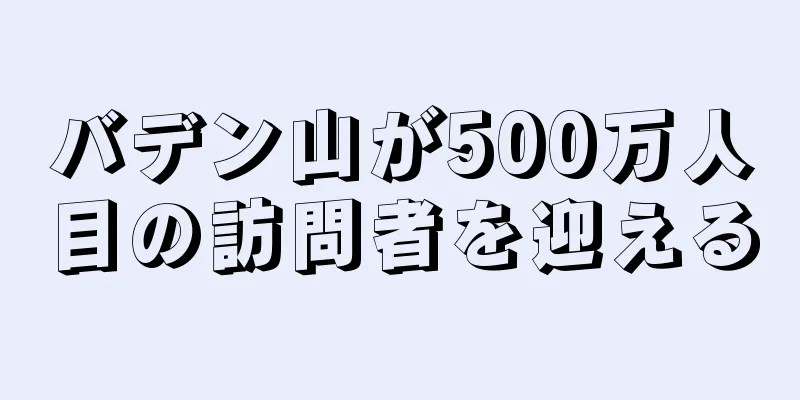 バデン山が500万人目の訪問者を迎える