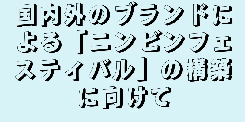 国内外のブランドによる「ニンビンフェスティバル」の構築に向けて