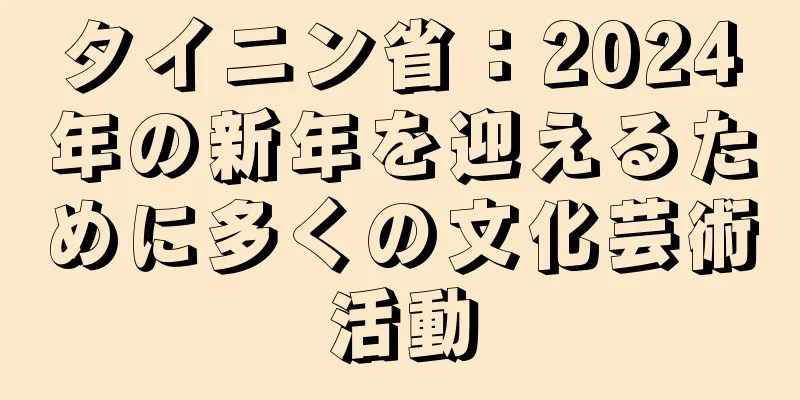タイニン省：2024年の新年を迎えるために多くの文化芸術活動