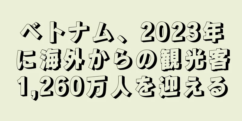 ベトナム、2023年に海外からの観光客1,260万人を迎える