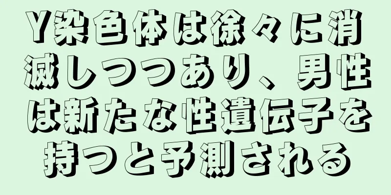 Y染色体は徐々に消滅しつつあり、男性は新たな性遺伝子を持つと予測される