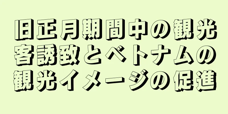 旧正月期間中の観光客誘致とベトナムの観光イメージの促進