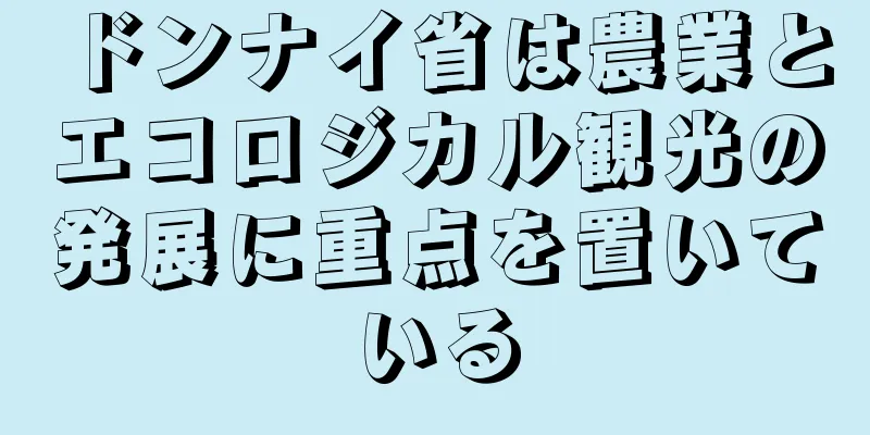 ドンナイ省は農業とエコロジカル観光の発展に重点を置いている
