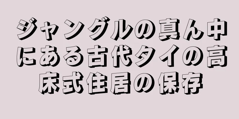 ジャングルの真ん中にある古代タイの高床式住居の保存