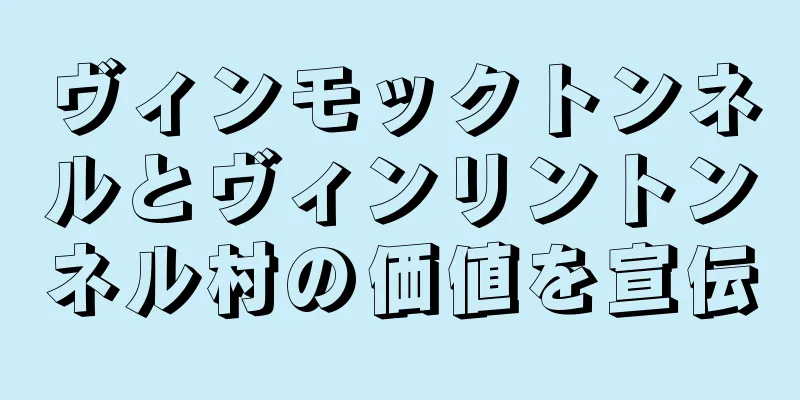ヴィンモックトンネルとヴィンリントンネル村の価値を宣伝