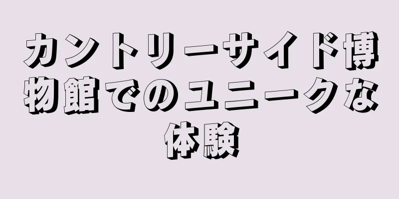 カントリーサイド博物館でのユニークな体験