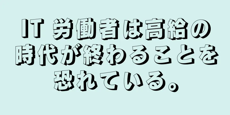 IT 労働者は高給の時代が終わることを恐れている。