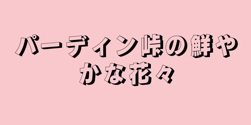 パーディン峠の鮮やかな花々