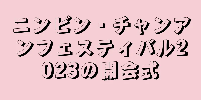 ニンビン・チャンアンフェスティバル2023の開会式