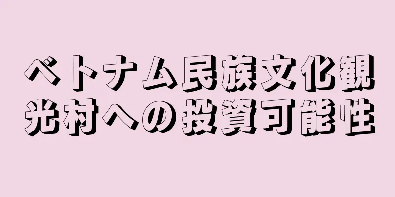 ベトナム民族文化観光村への投資可能性