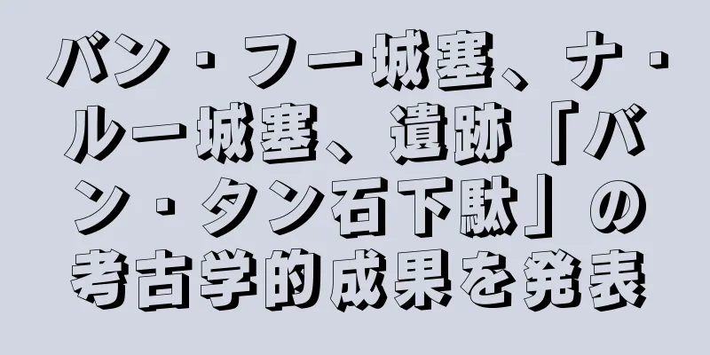 バン・フー城塞、ナ・ルー城塞、遺跡「バン・タン石下駄」の考古学的成果を発表
