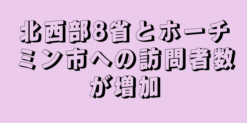 北西部8省とホーチミン市への訪問者数が増加