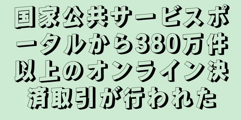 国家公共サービスポータルから380万件以上のオンライン決済取引が行われた