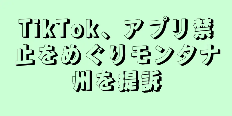 TikTok、アプリ禁止をめぐりモンタナ州を提訴
