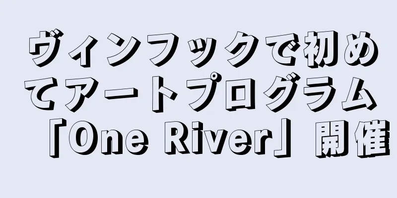ヴィンフックで初めてアートプログラム「One River」開催