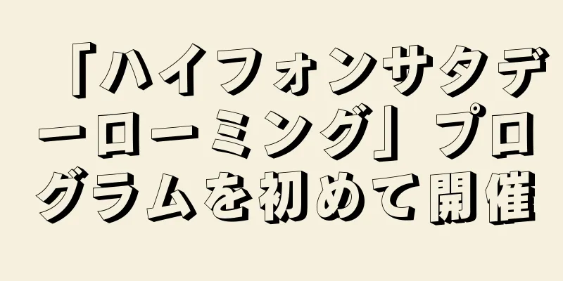 「ハイフォンサタデーローミング」プログラムを初めて開催
