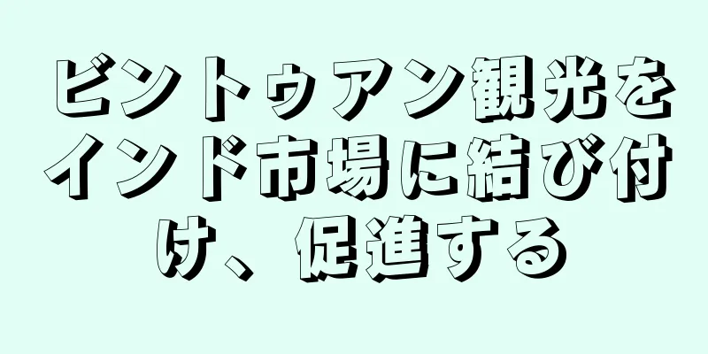 ビントゥアン観光をインド市場に結び付け、促進する