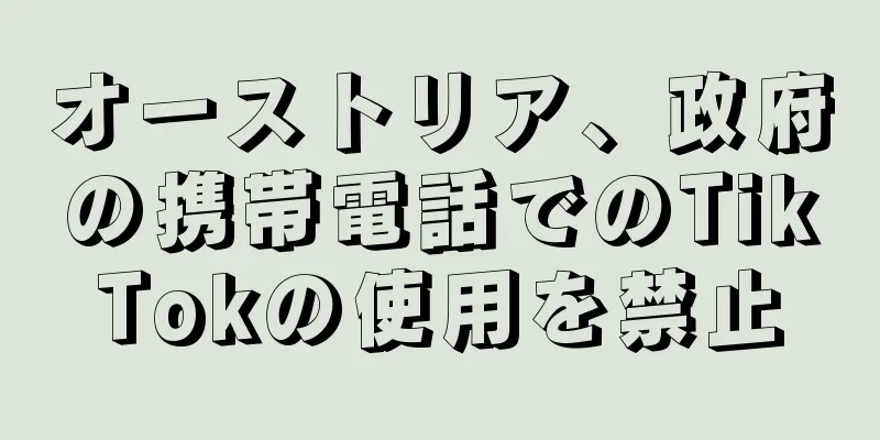 オーストリア、政府の携帯電話でのTikTokの使用を禁止
