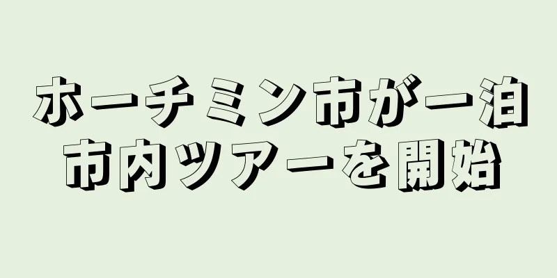ホーチミン市が一泊市内ツアーを開始