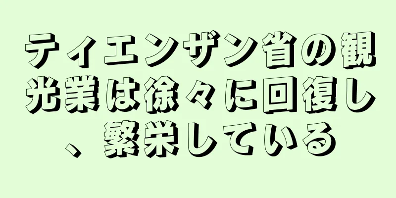 ティエンザン省の観光業は徐々に回復し、繁栄している