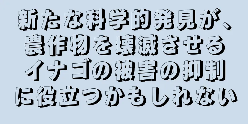 新たな科学的発見が、農作物を壊滅させるイナゴの被害の抑制に役立つかもしれない