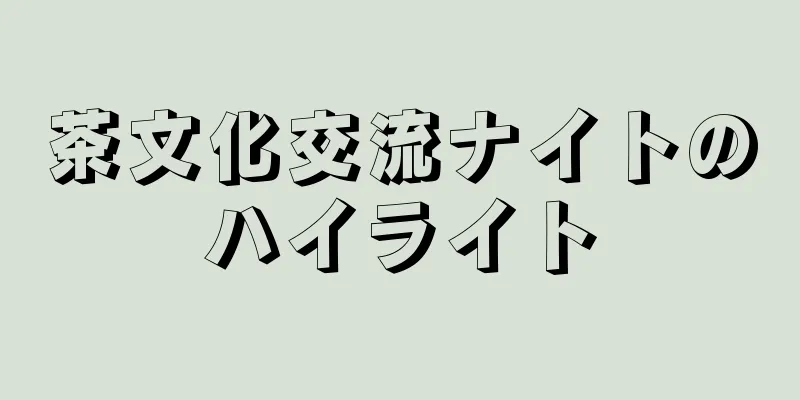 茶文化交流ナイトのハイライト