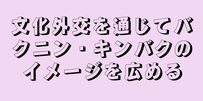 文化外交を通じてバクニン・キンバクのイメージを広める