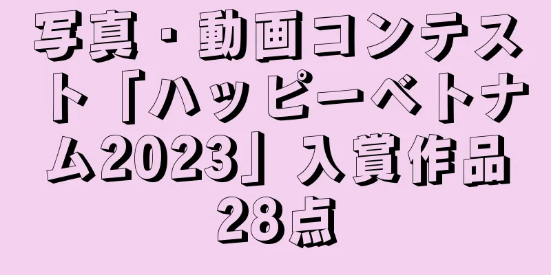写真・動画コンテスト「ハッピーベトナム2023」入賞作品28点