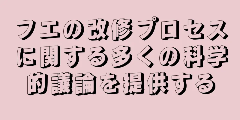 フエの改修プロセスに関する多くの科学的議論を提供する