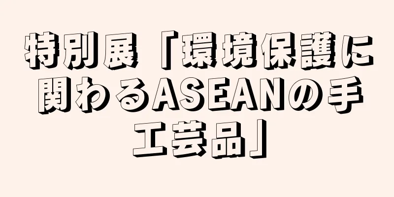 特別展「環境保護に関わるASEANの手工芸品」