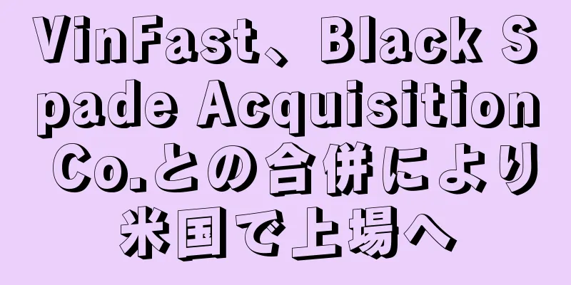 VinFast、Black Spade Acquisition Co.との合併により米国で上場へ