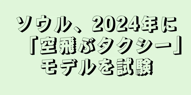 ソウル、2024年に「空飛ぶタクシー」モデルを試験
