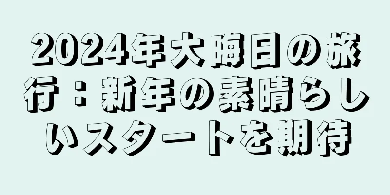 2024年大晦日の旅行：新年の素晴らしいスタートを期待