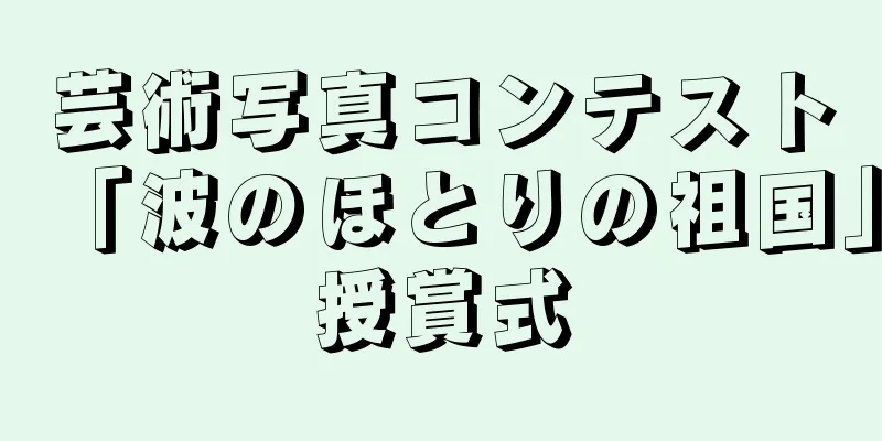 芸術写真コンテスト「波のほとりの祖国」授賞式