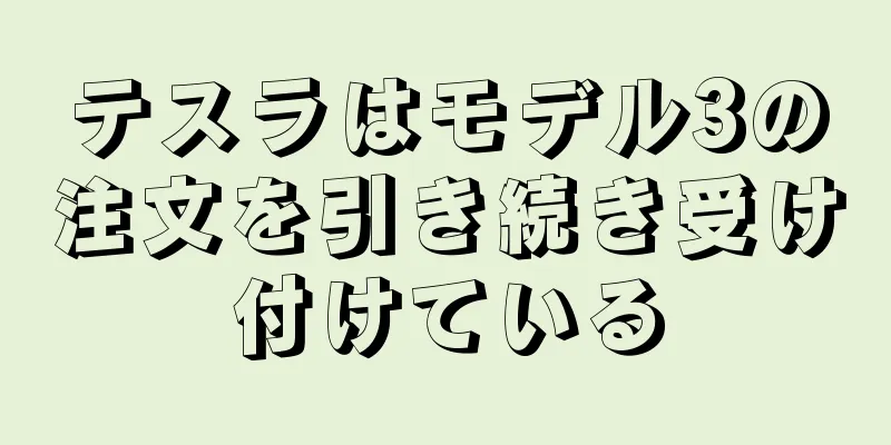 テスラはモデル3の注文を引き続き受け付けている