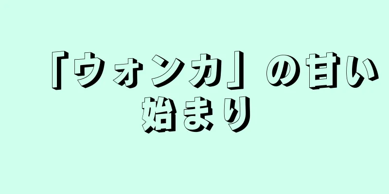 「ウォンカ」の甘い始まり