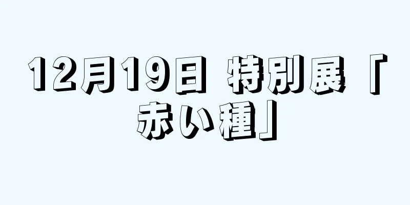 12月19日 特別展「赤い種」
