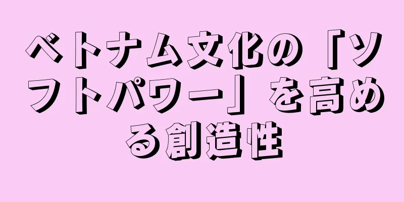 ベトナム文化の「ソフトパワー」を高める創造性