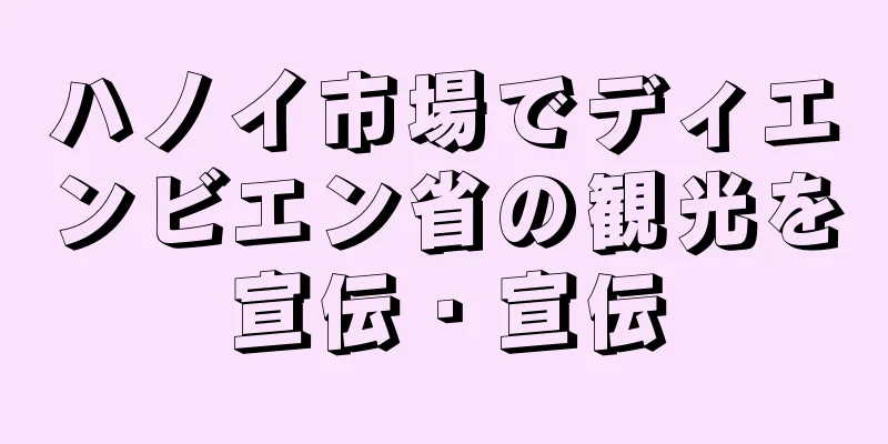 ハノイ市場でディエンビエン省の観光を宣伝・宣伝