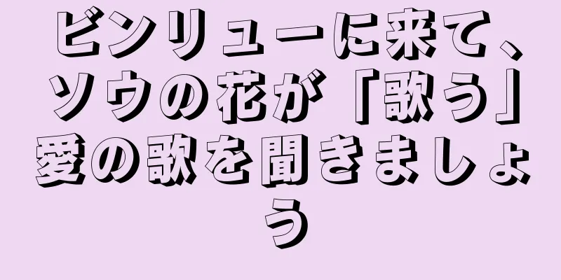 ビンリューに来て、ソウの花が「歌う」愛の歌を聞きましょう