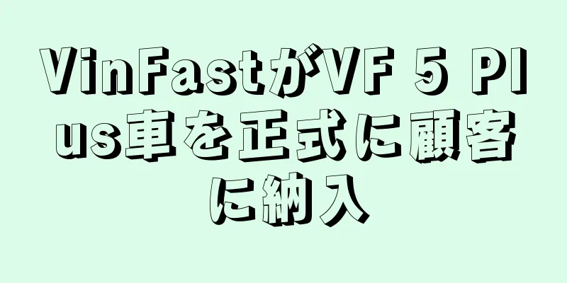 VinFastがVF 5 Plus車を正式に顧客に納入