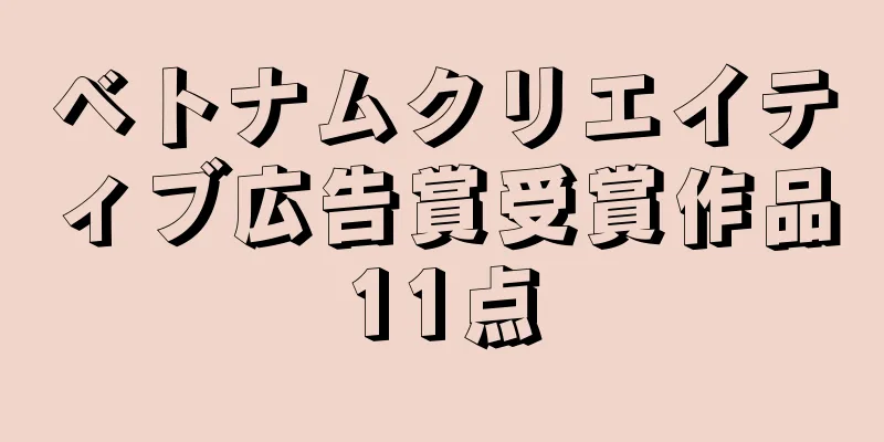 ベトナムクリエイティブ広告賞受賞作品11点