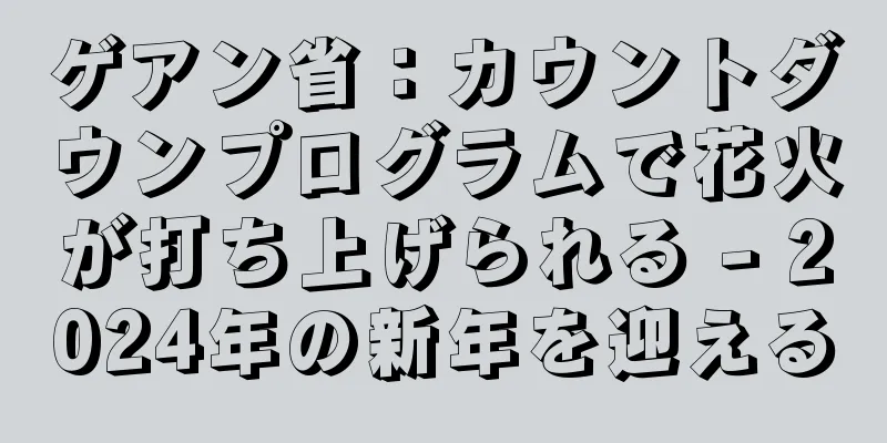 ゲアン省：カウントダウンプログラムで花火が打ち上げられる - 2024年の新年を迎える