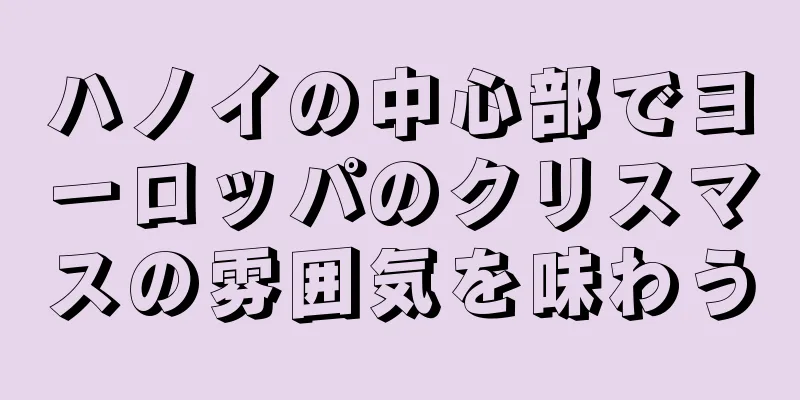ハノイの中心部でヨーロッパのクリスマスの雰囲気を味わう