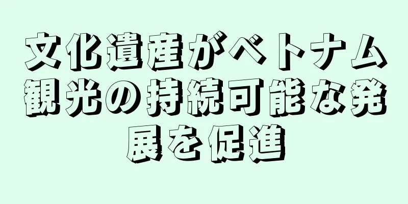 文化遺産がベトナム観光の持続可能な発展を促進