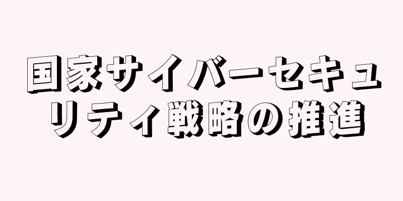 国家サイバーセキュリティ戦略の推進