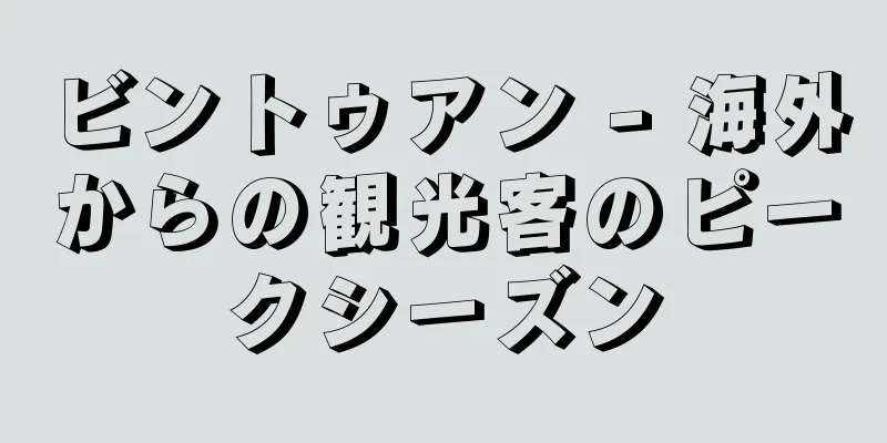 ビントゥアン - 海外からの観光客のピークシーズン